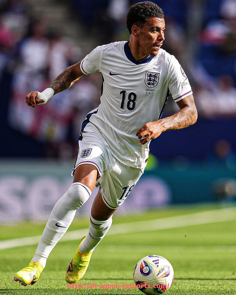 江南体育APP-法甲赛季亮点球员介绍及体育竞技表现总结