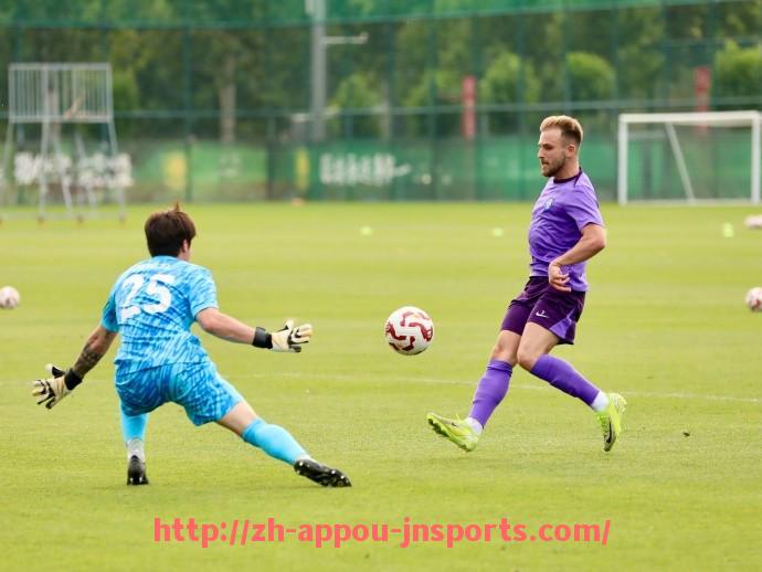 江南体育APP-德甲中游球队的平均市值是多少?