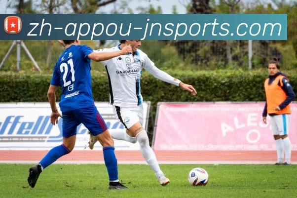 江南体育APP 封面图